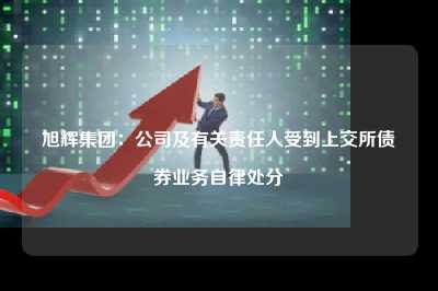 旭辉集团:公司及有关责任人受到上交所债券业务自律处分